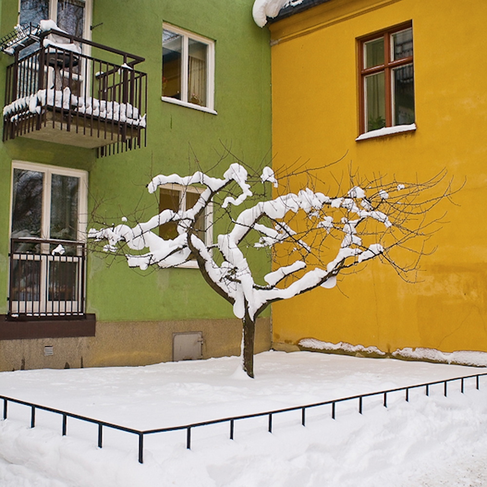 Joakim Sjöåker Photography Potential Escapees Trees on the run