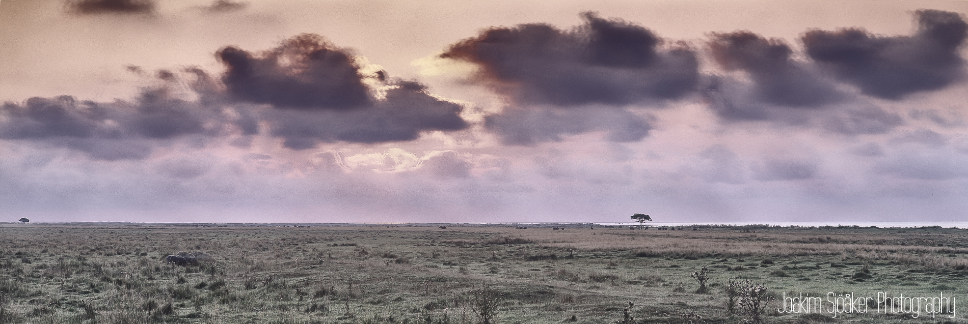 Joakim Sjöåker Photography alvaret sunrise Öland panorama 6x17 provia