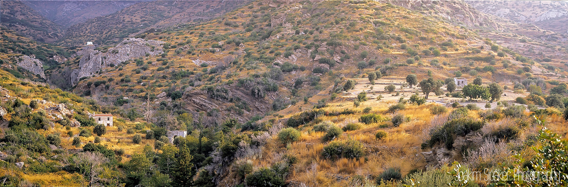 Joakim Sjöåker Photography kakoperato olive trees samos greece panorama 6x17 velvia