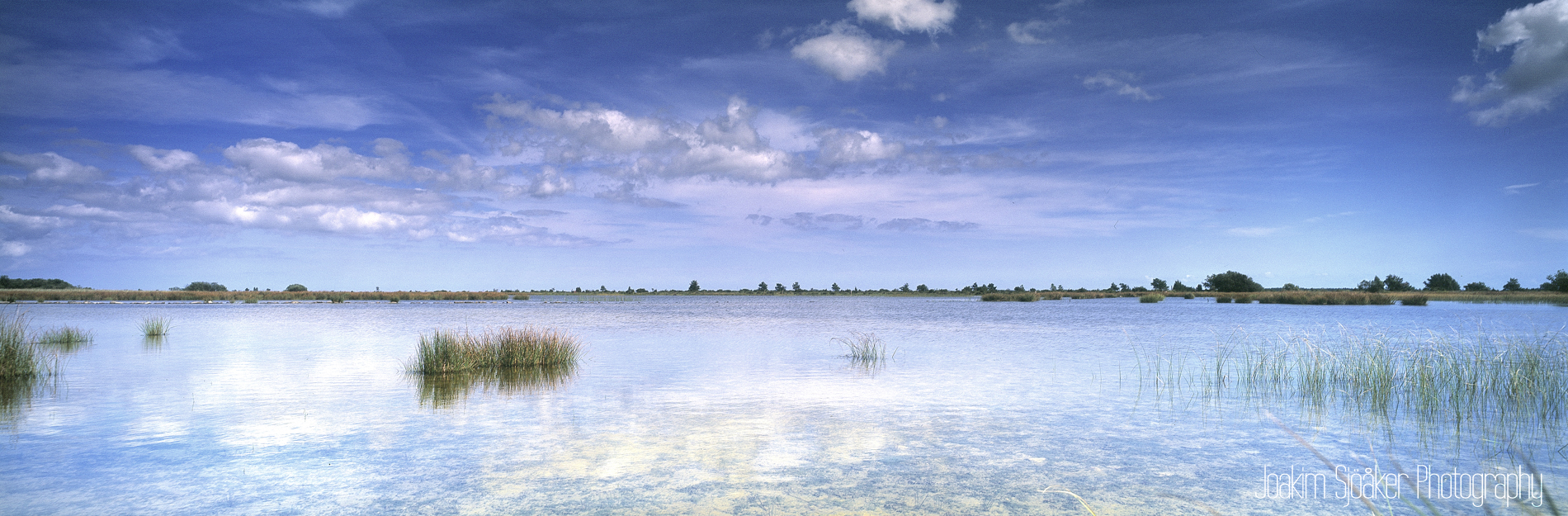 Joakim Sjöåker Photography möckelmossen öland sweden panorama 6x17 velvia